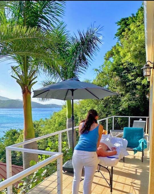 Sailfish Villa Luxury Beachfront Estate Magens Bay Cruz Bay エクステリア 写真